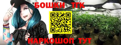 стаф Славгород