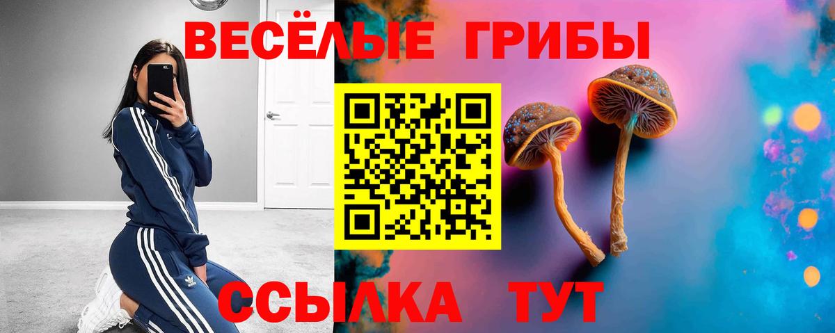 Псилоцибиновые грибы Cubensis  Галлюциногенные грибы ЛСД  Мыски  Вход с VPN 